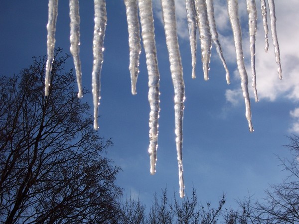Icicles