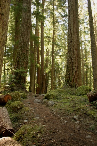 The Trail for ALMOST Everyone....