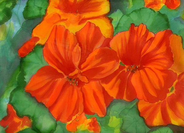 Nasturtiums