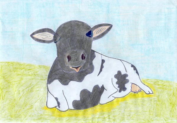 COW003