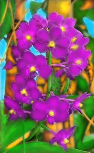 Lavender Rainforest Cluster with Bamboo