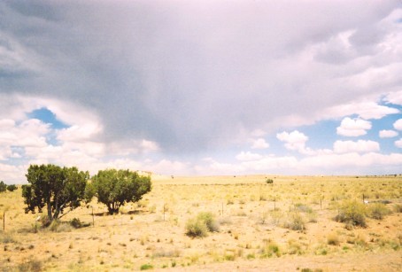 Mom's New Mexican Cloud
