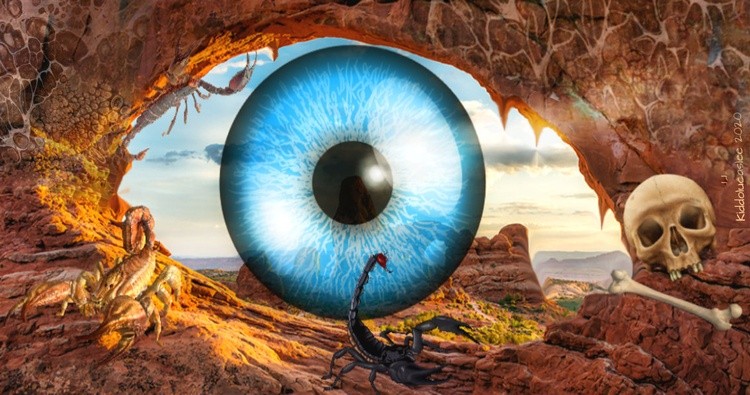 The Great Perception Valley * 2020 Kiddolucaslee