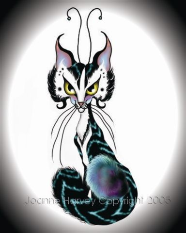 Keedo the Kat