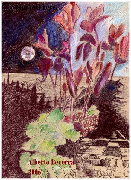 Nadia's 8 th moon 