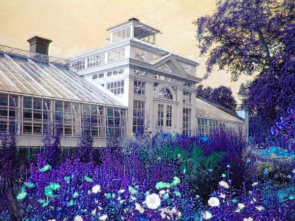 Merlin's Garden Part Two