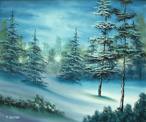 Winter Pines