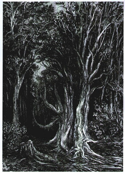 OLD FOREST