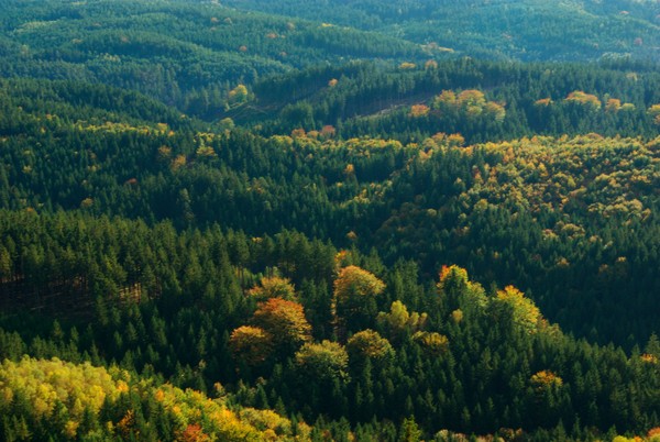 Fall in Czech 2