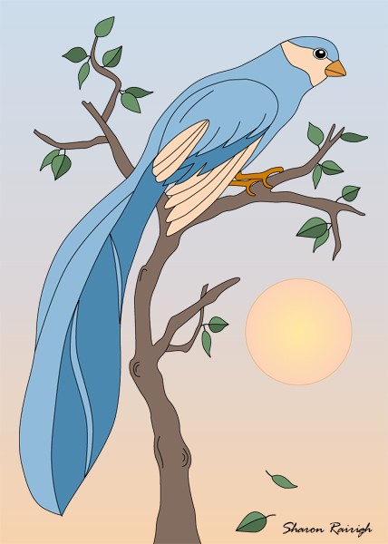 blue-bird