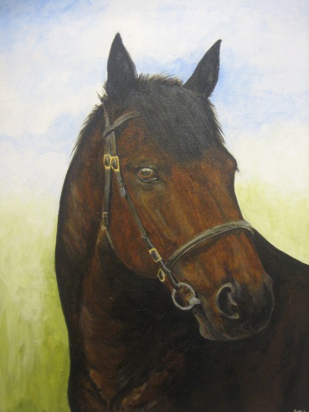 The Bay Horse
