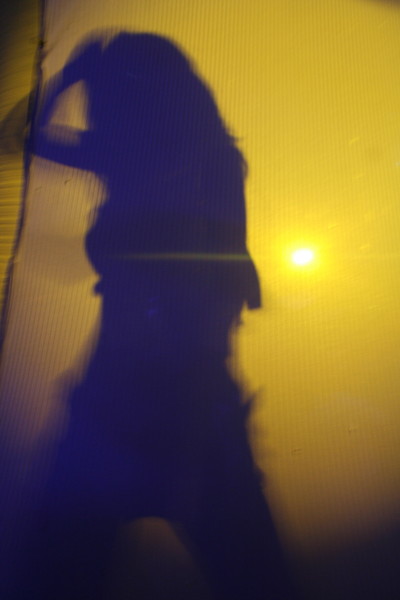 Silhouette Series- Summertime