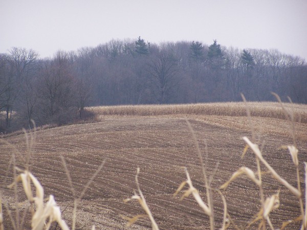 Caledonia