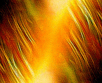 Ardent