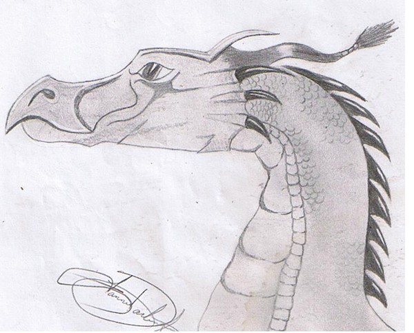 dragon