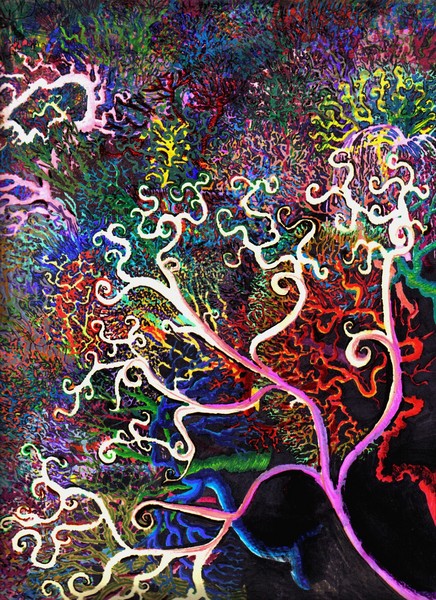 coral reef