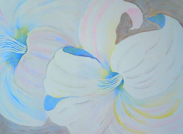 Another White Lily