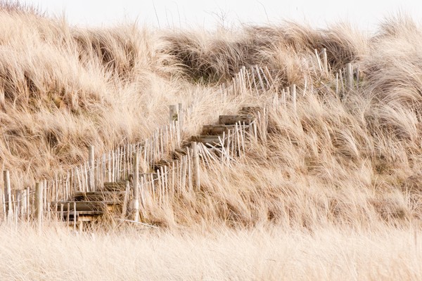 Dunes at Silloth