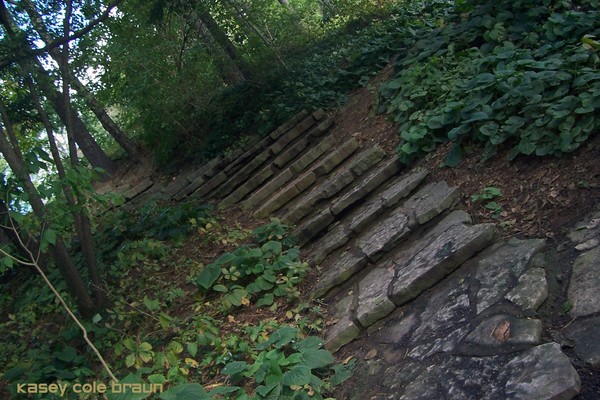 Steps 002