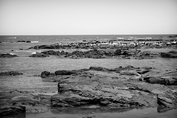 Montevideo
