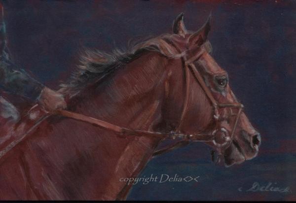 racing horse #2