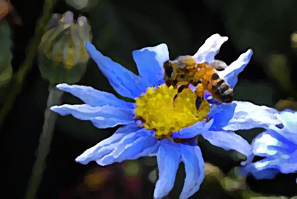 Worker Bee