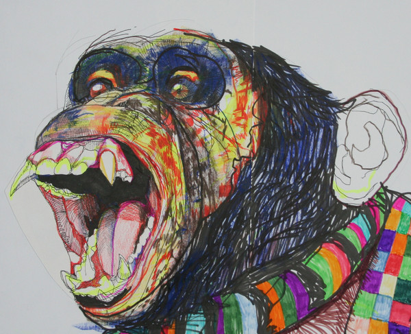 Chimp