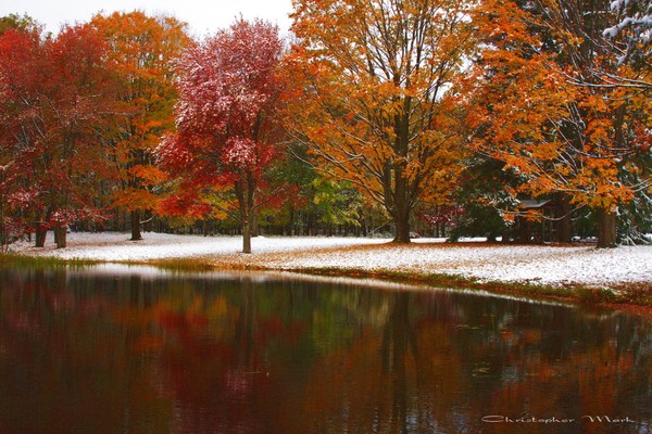 Fall reflections