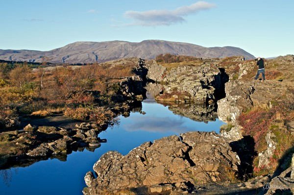 Autumn colors at Þingvellir