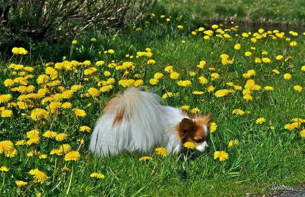 Longing for a day like this !