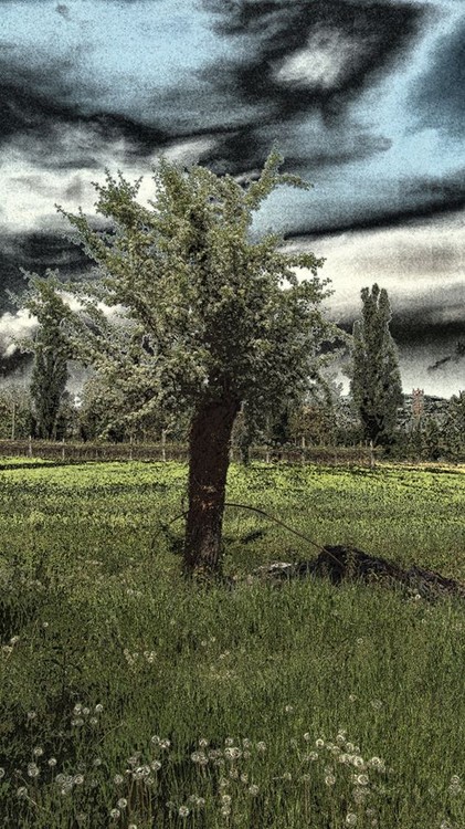 The loneliness... 
