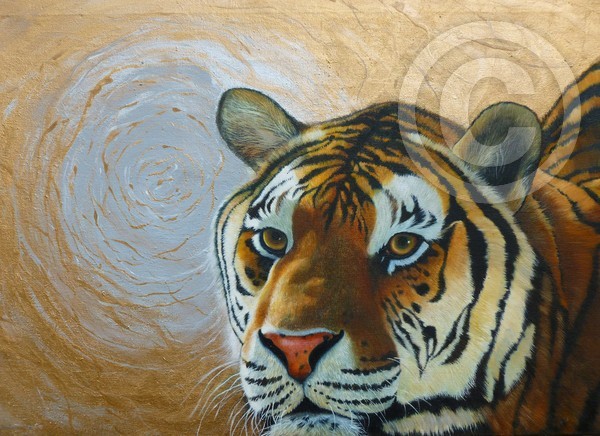 tiger moon