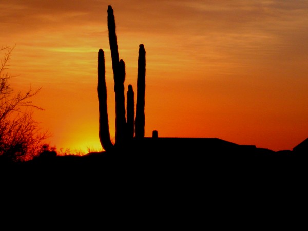 Sunset in the West 1a