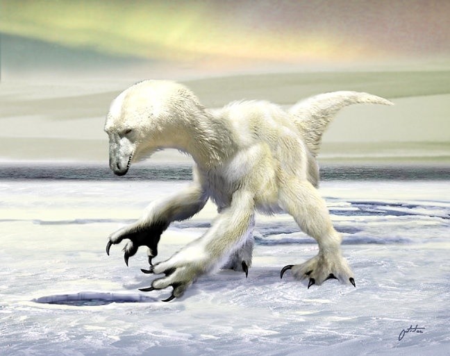 Polar Drak