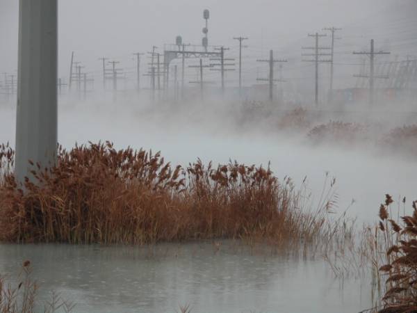 Mist and Poles
