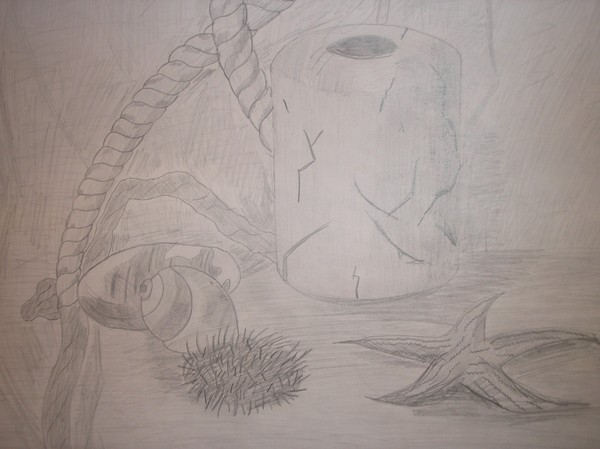 Small sea still-life