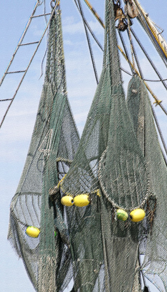 nets