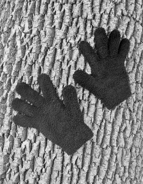 Margaret's Gloves