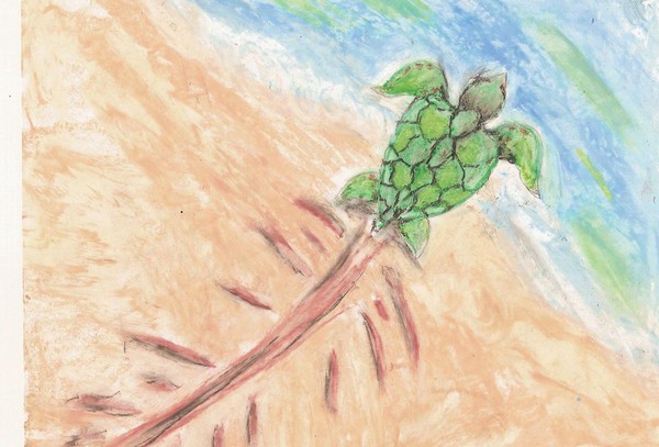 honu pepe