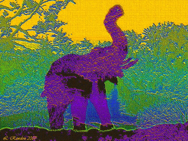 Purple Elephant 