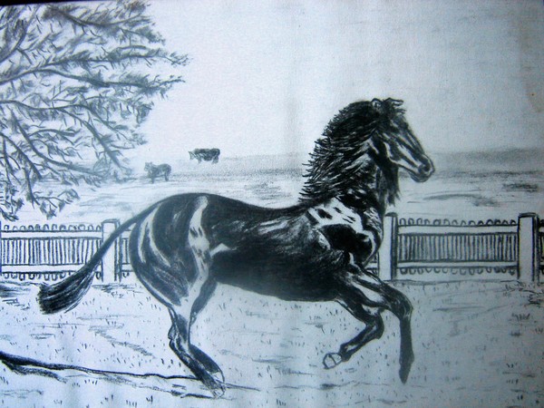 Dark Horse