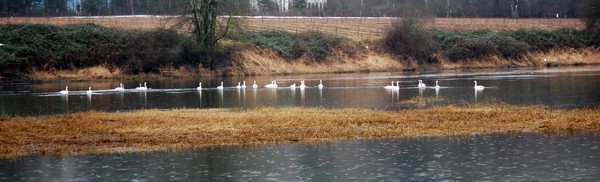 Family Outing