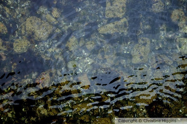 Rippling Water