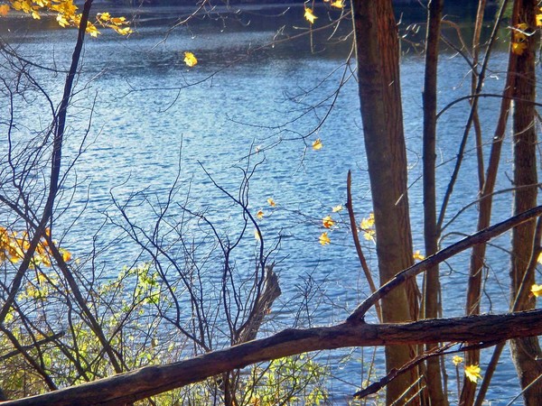 Peaceful Blue