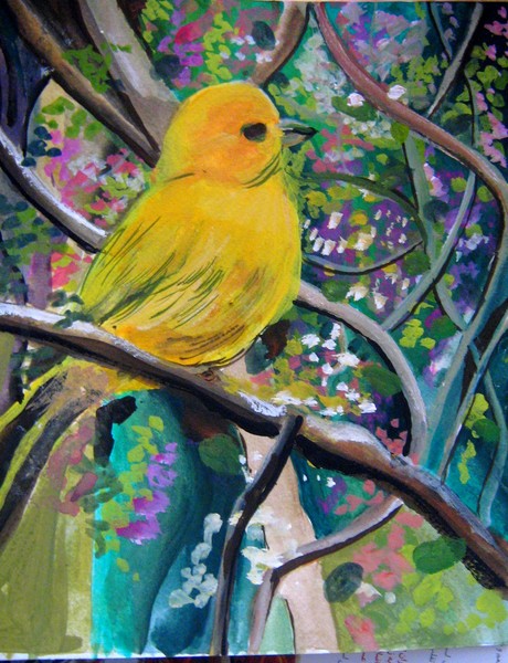 yellow bird