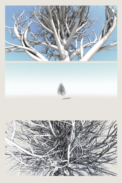 Lonely Tree