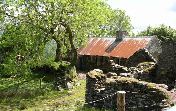 Along the Roadside