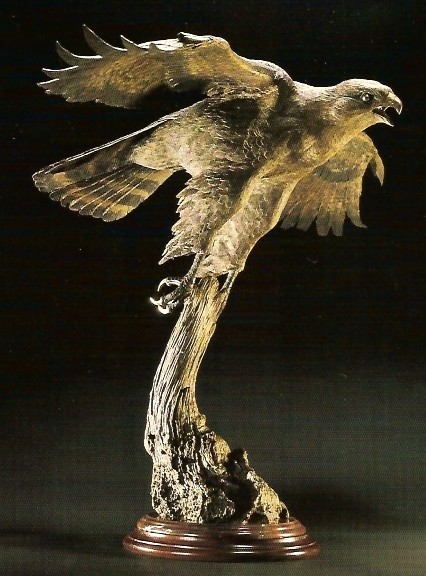 Goshawk