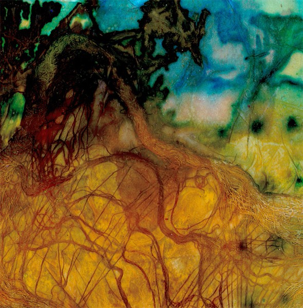 Nature's Dance 2