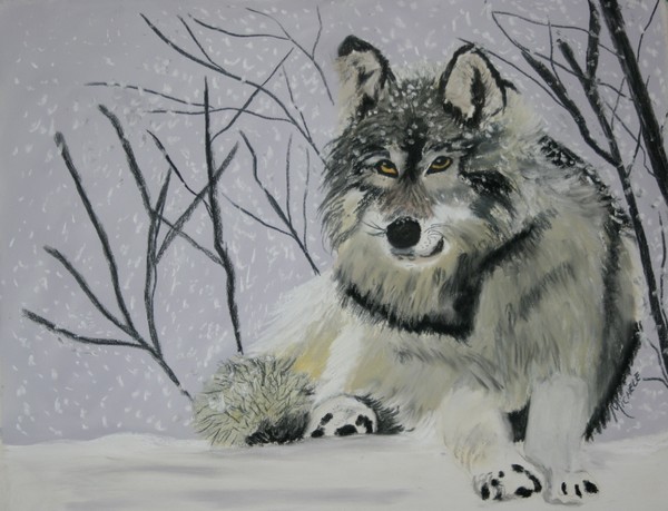 Snow Wolf